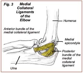 baseball arm injuries